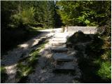 Stara Fužina - Planina Zgornja Grintovica